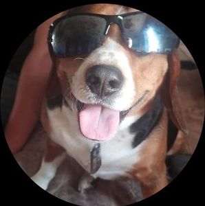 Meet your Posher, Jd